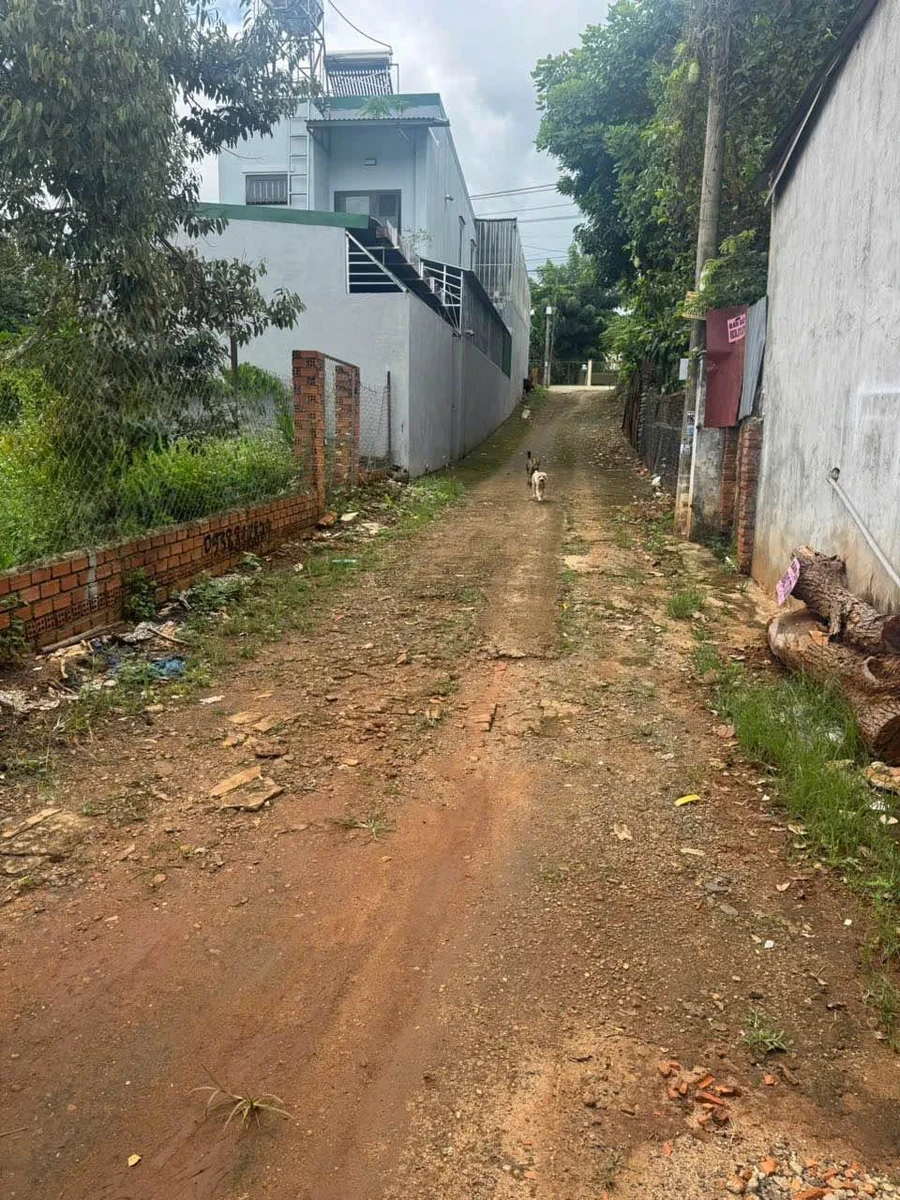 Bán đất hẻm Võ Thị Sáu 169m² Tân Lập, Bình Tân 4.48 tỷ - Ảnh thu nhỏ 2