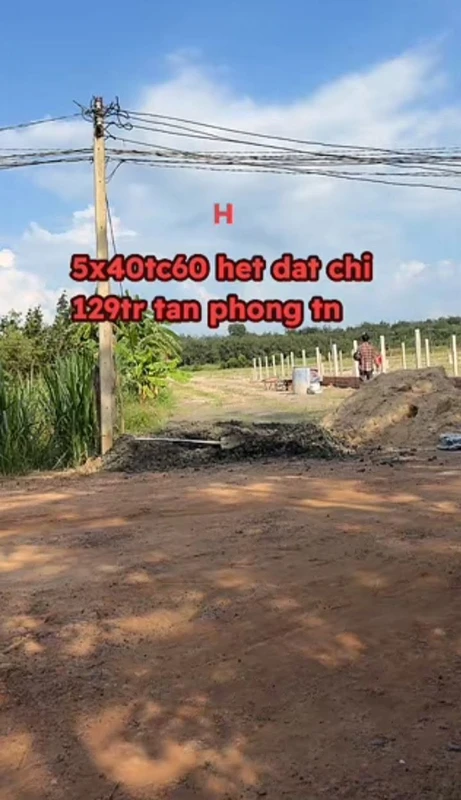 Nhà phố hẻm xe hơi Đà Lạt 4 phòng ngủ 120m² 8,2 tỷ sunfours