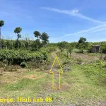8 sào gỗ tếch tại huyện Cư Mgar, Đắk Lắk - Ảnh thu nhỏ 19