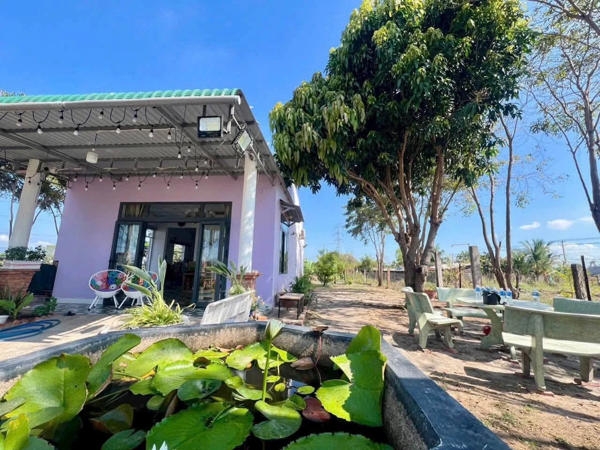 Bán nhà vườn Hàm Thắng 1000m² (300m² thổ cư) 2 tỉ 7 - Ảnh thu nhỏ 4