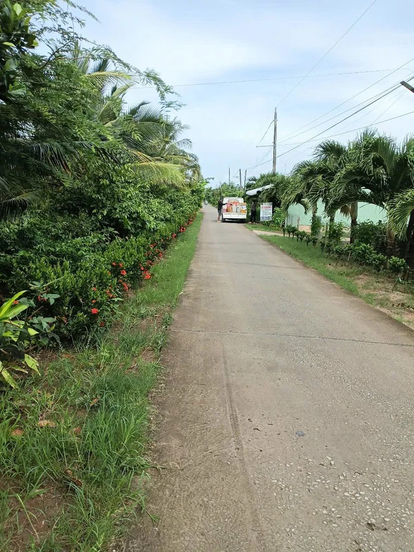 Bán vườn 37.000m² Kiên Giang, sổ hồng, 3.5 tỷ
