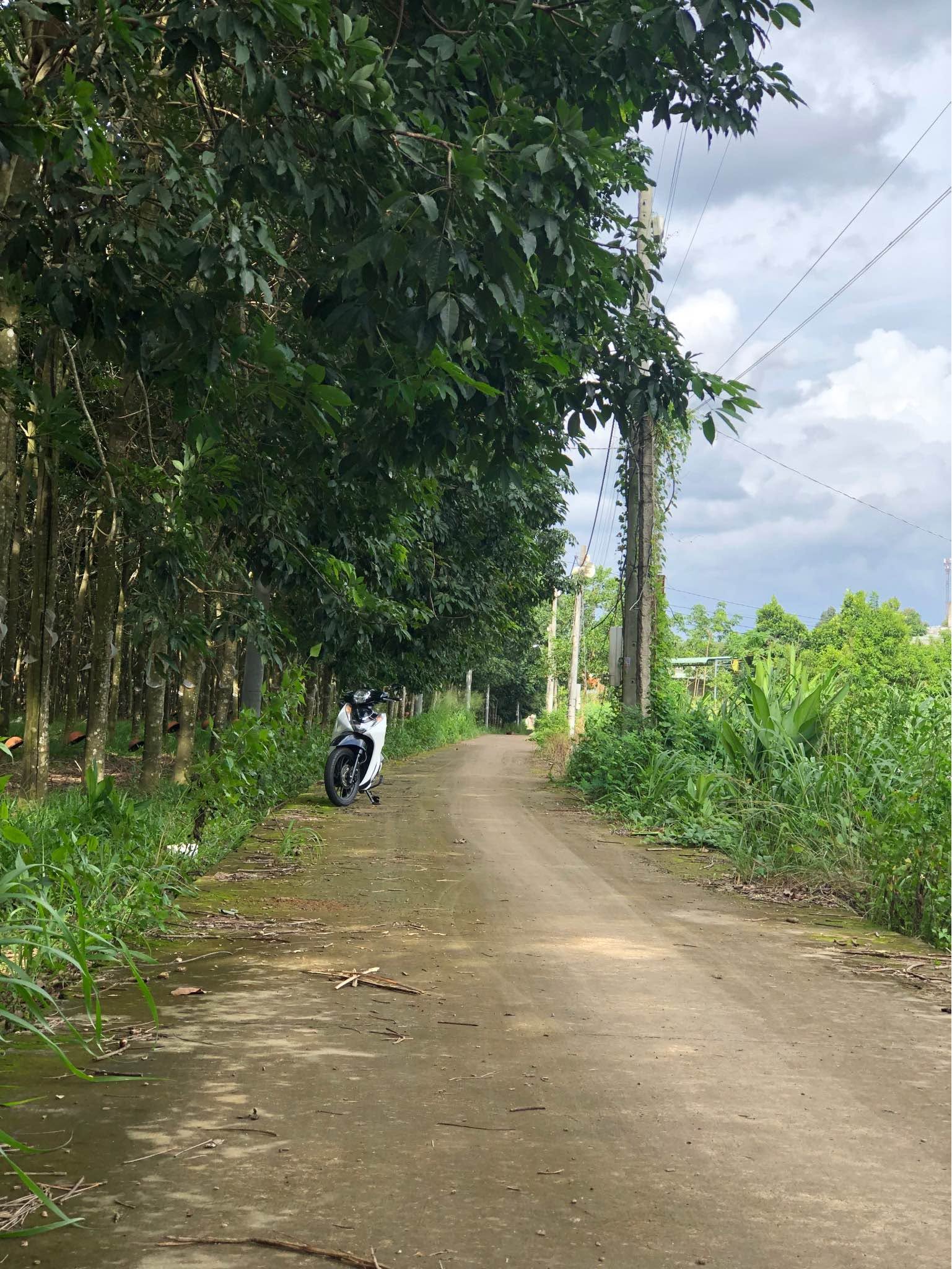 Bán đất Tân Thành Đồng Xoài Bình Phước 540m² - Ảnh thu nhỏ 2