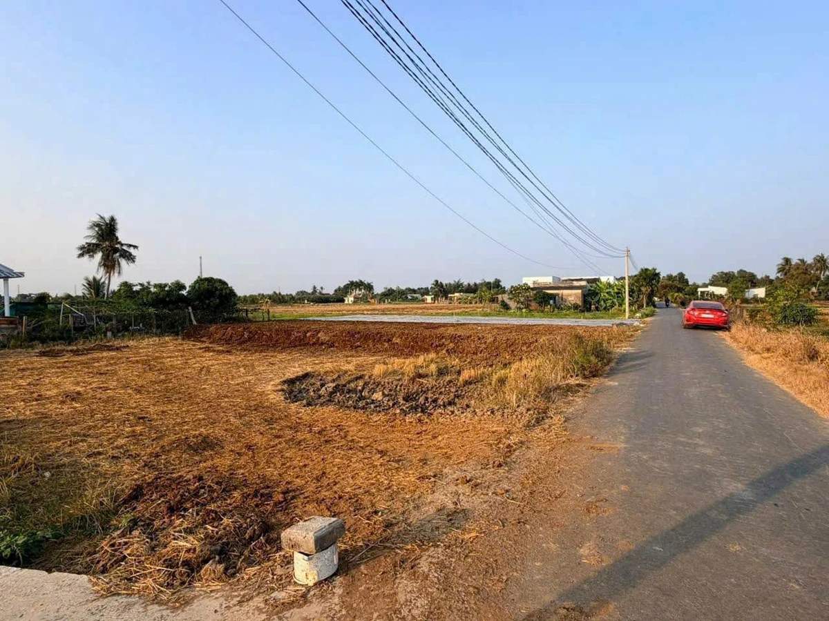 Bán đất mặt tiền Đăng Mỹ 135m² Bến Lức 890 triệu - Ảnh thu nhỏ 2