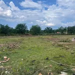 Bán đất full thổ cư 150m² mặt tiền đường nhựa Diên Khánh - Ảnh thu nhỏ 2