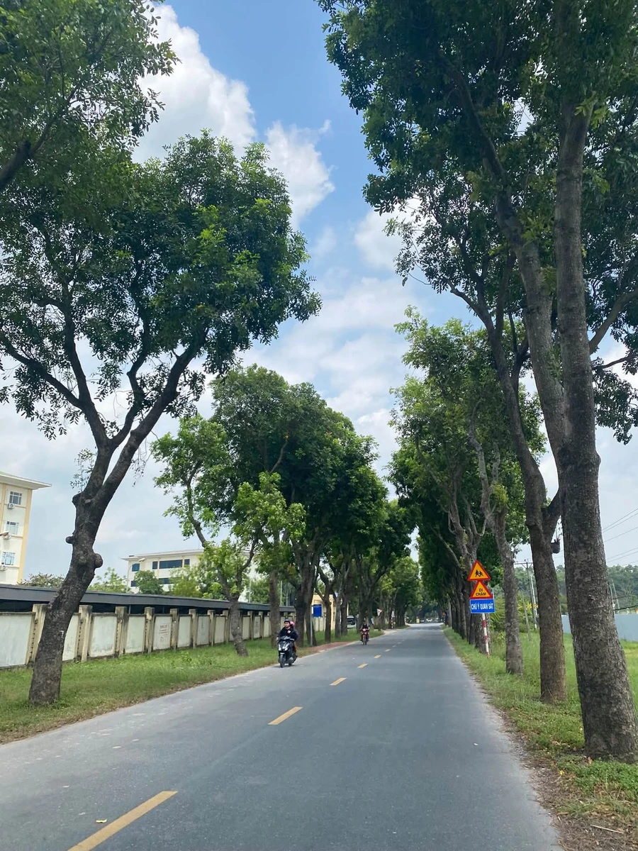 Bán đất 54m2 mặt tiền 4,5m gần sân bay Nội Bài 2,45 tỷ - Ảnh thu nhỏ 2