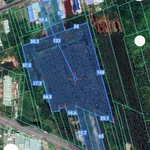 Bán đất 2 mặt tiền Long An 13,4 sào tại Thạnh Hóa - Ảnh thu nhỏ 2