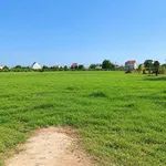 Bán đất 1800m² thổ cư Hàm Liêm, Lâm Đồng - Ảnh thu nhỏ 2
