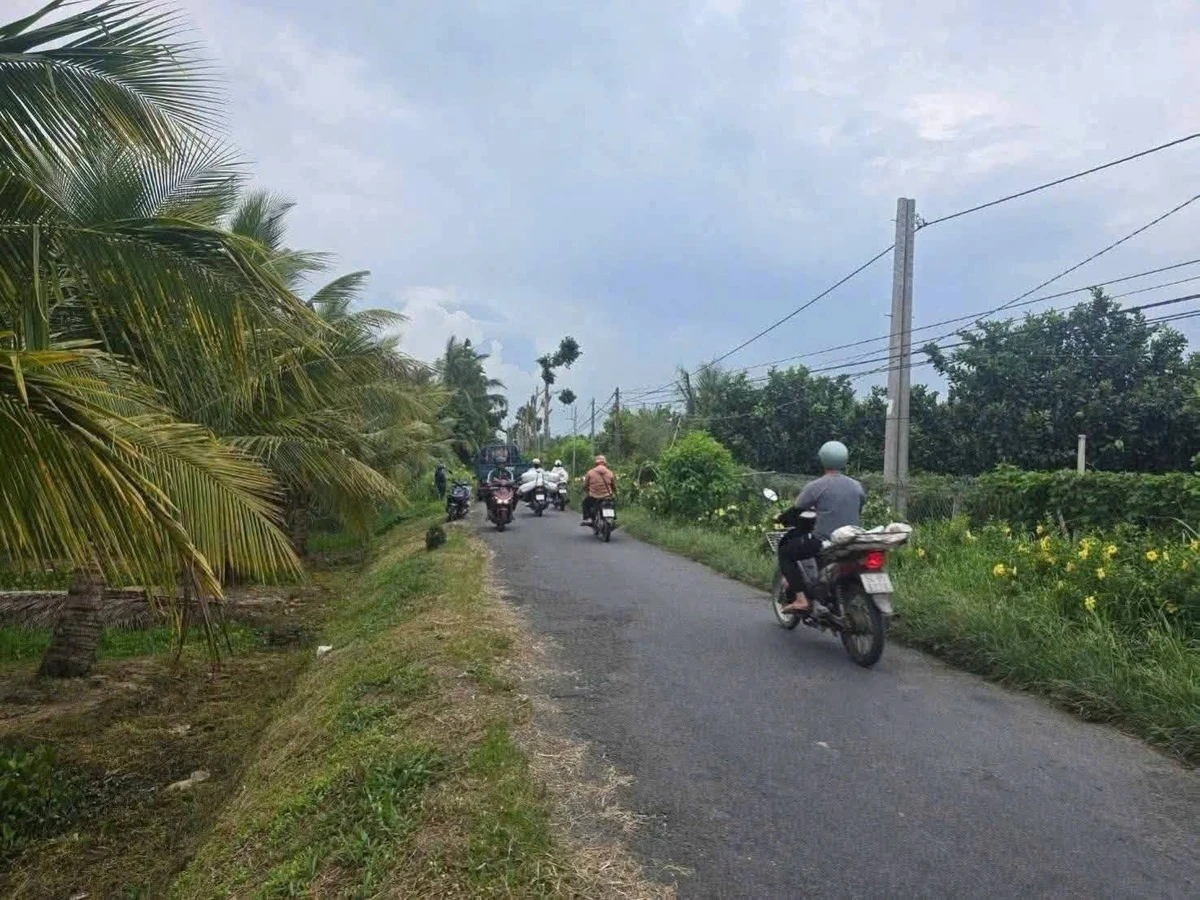 Bán lô nhựa 104m² Tân Long Hội Mang Thít Vĩnh Long 299 triệu - Ảnh 1