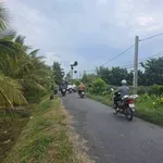 Bán lô nhựa 104m² Tân Long Hội Mang Thít Vĩnh Long 299 triệu - Ảnh thu nhỏ 1