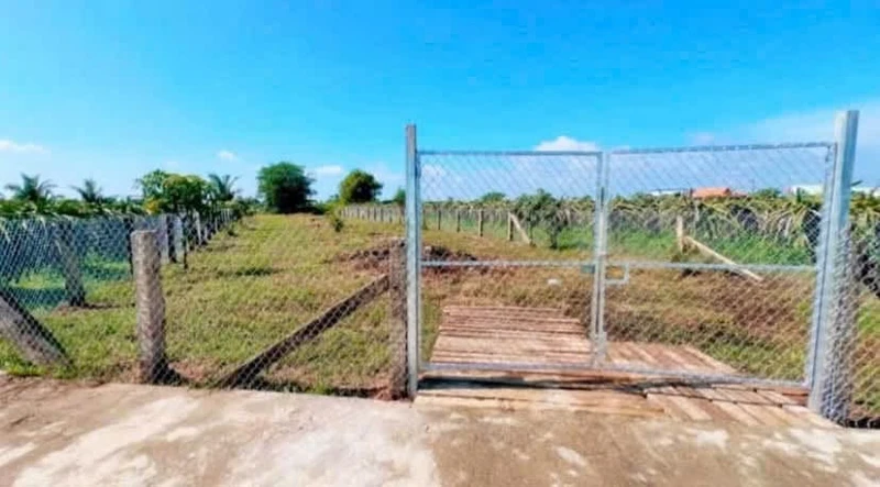 Bán đất cây trồng 850m² Hàm Liêm gần chợ Tân Nông