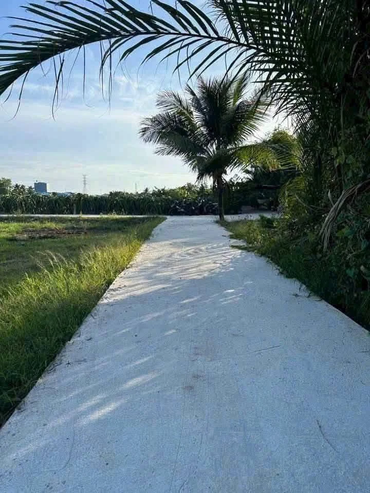 Bán đất thổ cư Thanh Phú Long 115m² giá 250 triệu - Ảnh 1