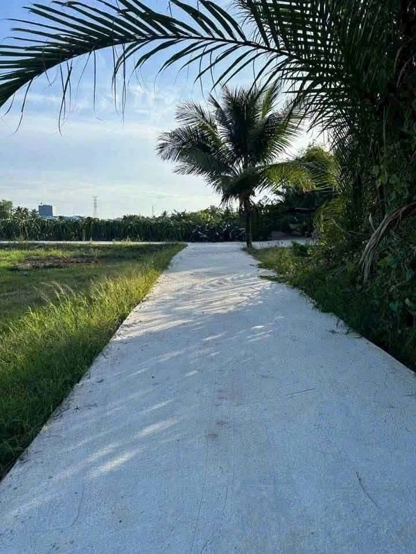 Bán đất thổ cư Thanh Phú Long 115m² giá 250 triệu