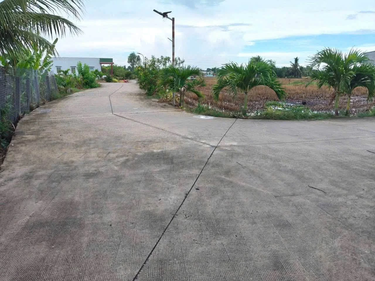Bán đất lúa 2 mặt tiền 868m² Tân Trụ, Long An 1 tỷ 800 - Ảnh 1
