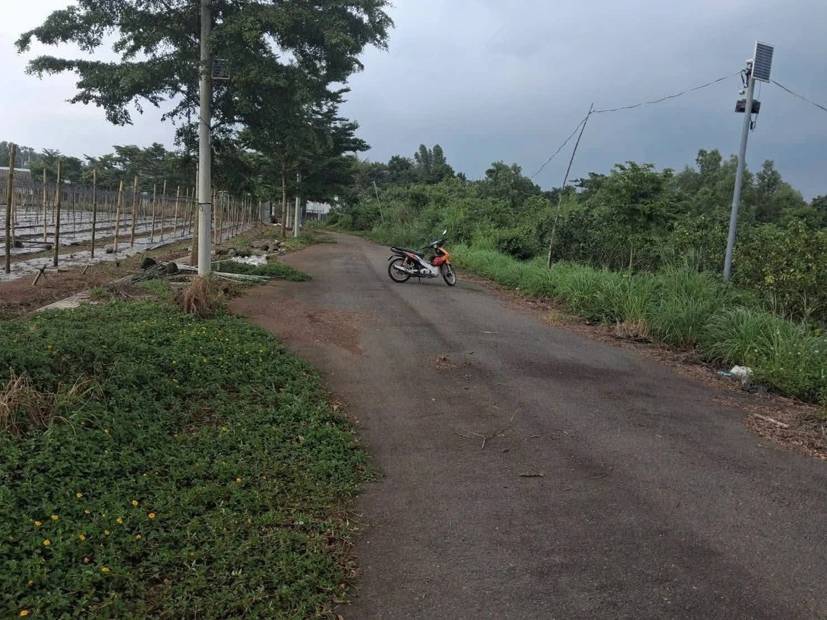 Bán đất thổ cư 100m2 Dầu Giây, Đồng Nai giá 1 tỷ 500 triệu - Ảnh thu nhỏ 5