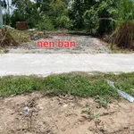 Bán nền đất Cái Dầy 100,5m² - 300 triệu - Ảnh thu nhỏ 3