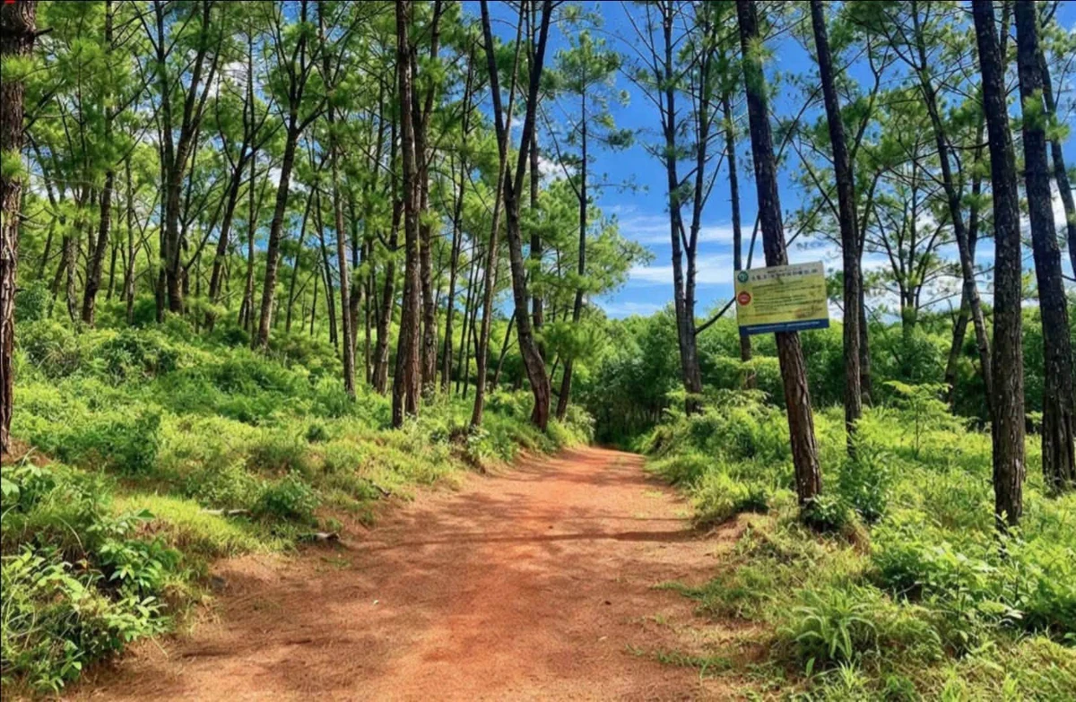Bán đất 1.000m² có nhà nhỏ tại Phong Điền, Huế - Ảnh thu nhỏ 2