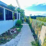 Bán nhà cấp 4 300m² Tây Ninh 450 triệu - Ảnh thu nhỏ 5