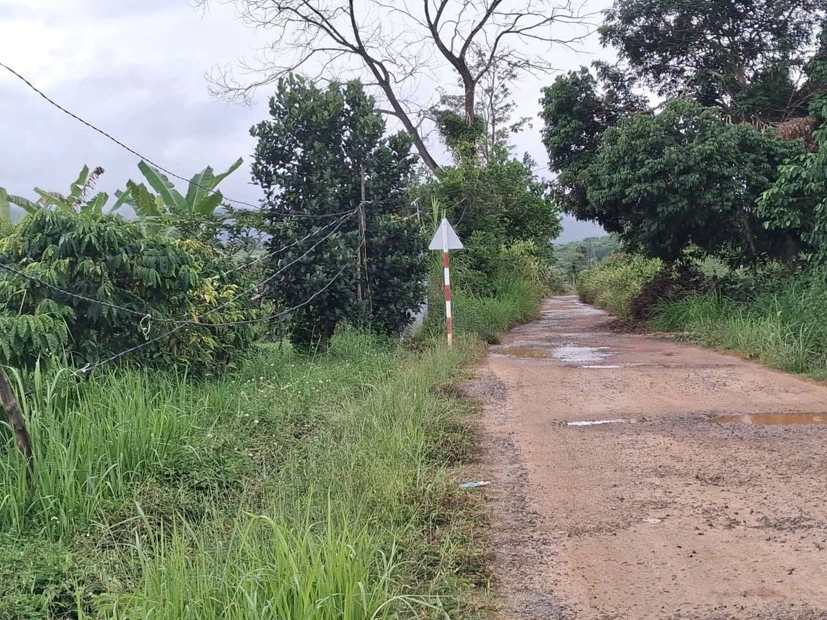 Bán lô đất 2,7 ha tại Bảo Lâm, giá 6,3 tỷ - Ảnh 1