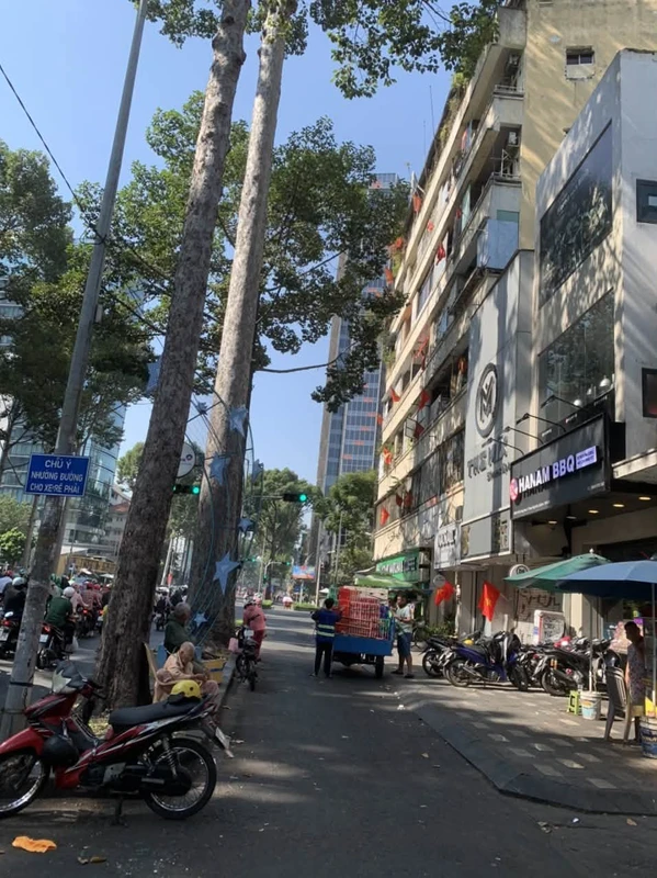 Bán đất nền 7.000m² Xuân Thọ Đà Lạt, giá 4,5 tỷ bandathoanghia
