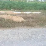 Bán đất 4500m² gần KCN Phước Đông, Bình Chánh - Ảnh thu nhỏ 2