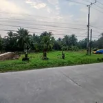 Bán nền thổ cư góc 822m2 xã Mỹ Thạnh, Giồng Trôm, Bến Tre - Ảnh thu nhỏ 3