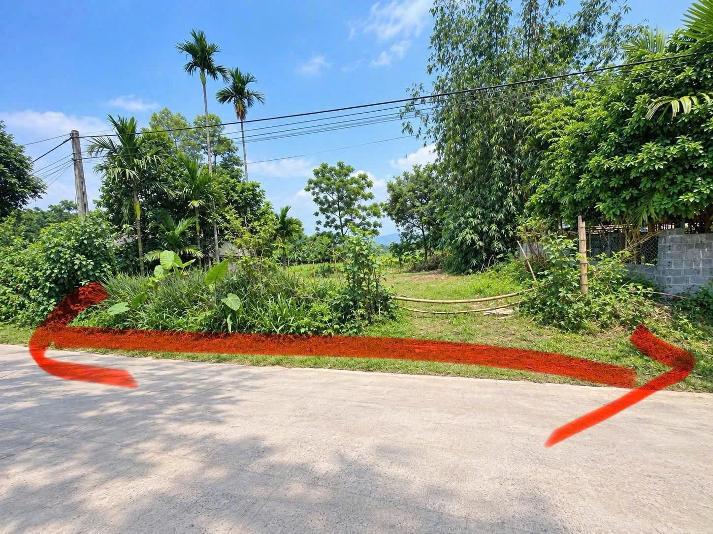 Bán đất 500m2 (100m2 thổ cư) Tân Lạc - 399 triệu - Ảnh 1