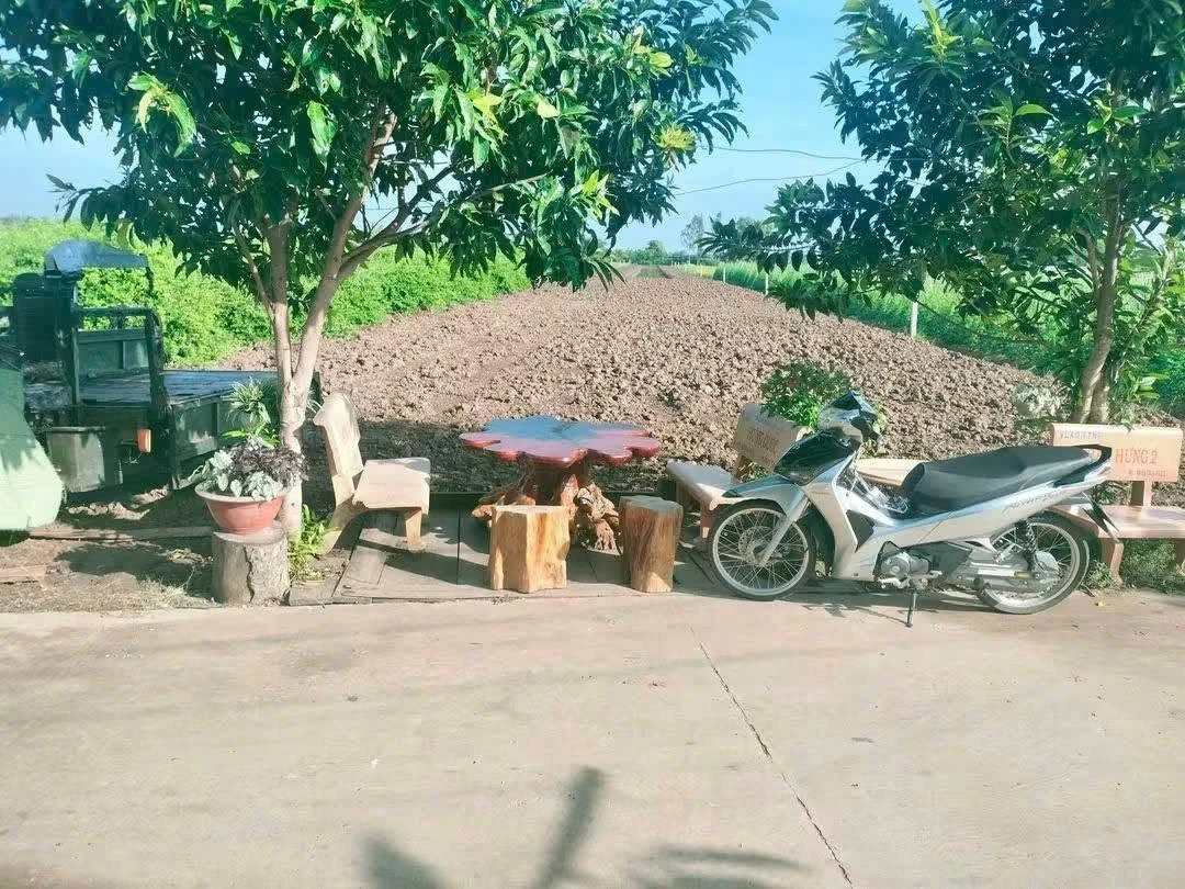 Bán đất làm trang trại 3600 m² Gò Công Đông, Tiền Giang - Ảnh thu nhỏ 2