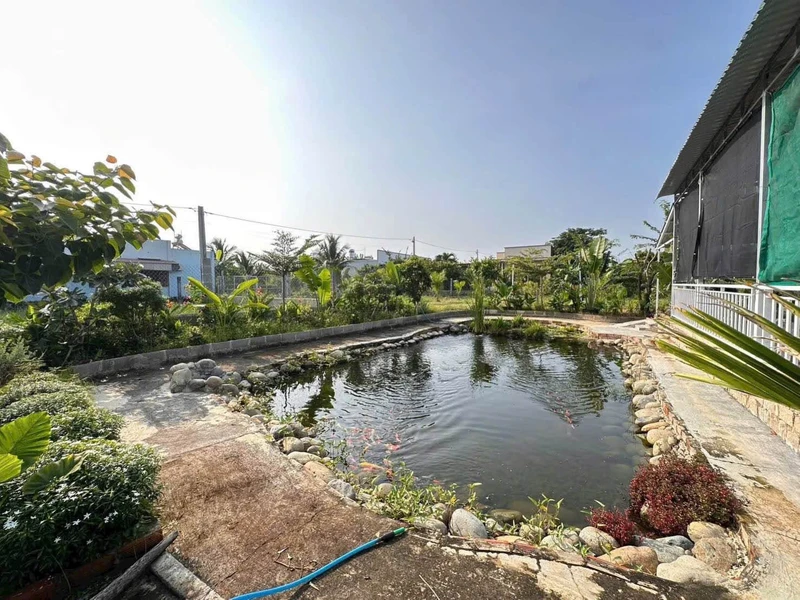 Bán nhà vườn 445m² 2 mặt tiền Phường Bình Thuận