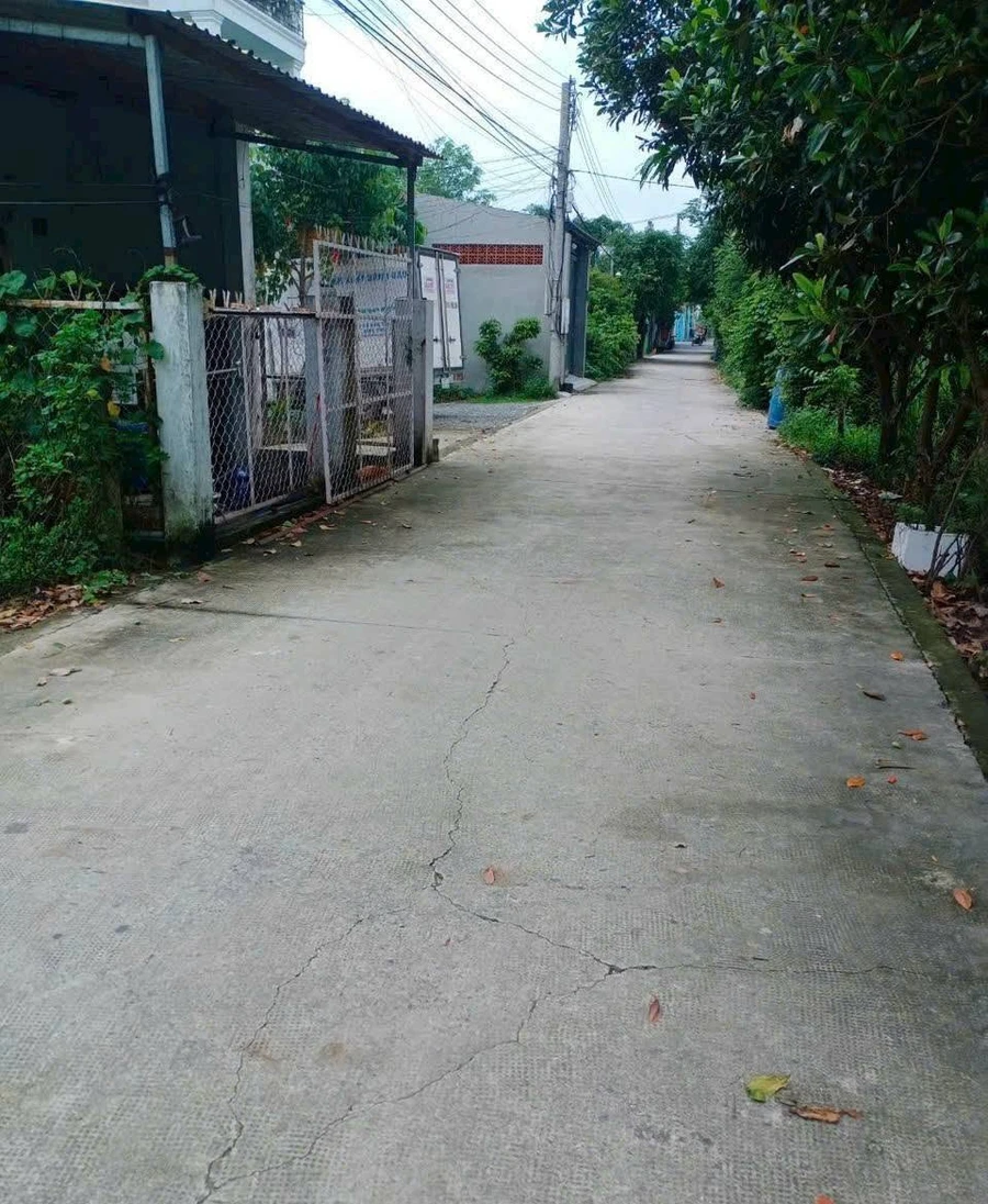 Bán đất mặt tiền Bình Nhâm 26, 89 m2, 2,5 tỷ, Bình Chánh - Ảnh thu nhỏ 2