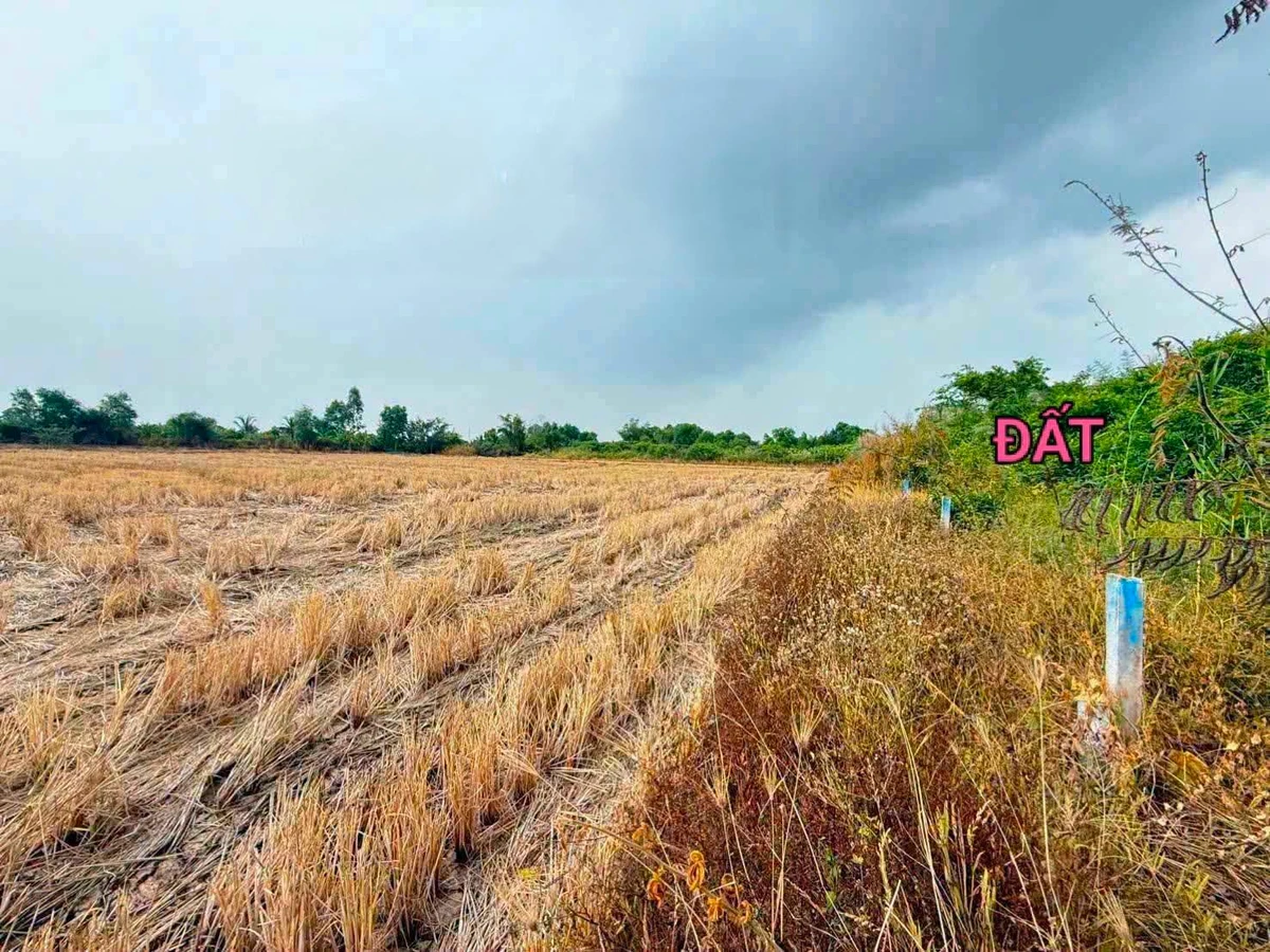 Bán đất nền 100m² đường Võ Trường Toản, Rạch Giá 399 triệu - Ảnh thu nhỏ 5