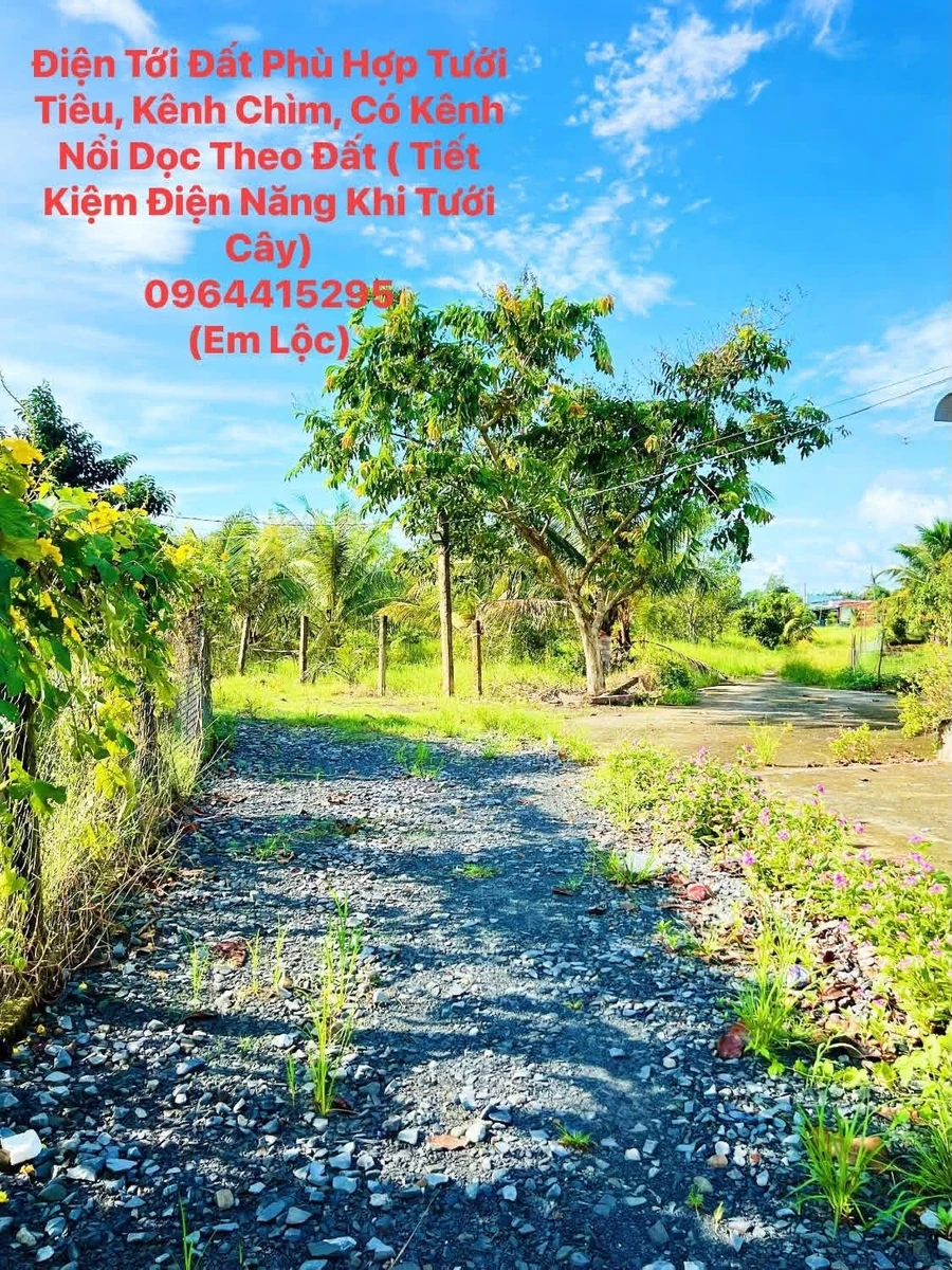 Bán 10.844m2 đất Tây Ninh, gần 1 mẫu, giá 2 tỷ 200 triệu - Ảnh thu nhỏ 5