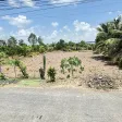 Cần bán đất chính chủ 1.257m2 thổ cư mặt tiền đường nhựa 27m xã Hưng Thạnh (cũ) Tháp Mười Đồng Tháp - Ảnh thu nhỏ 10
