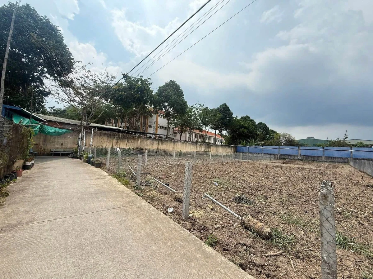 Bán 2 nền đất 500m² Trường Nguyễn Đình Chiểu Mỹ Lộc - Ảnh thu nhỏ 2