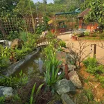 Bán nhà vườn 2600m² Ba Vì Hà Nội, giá hơn 4 tỷ - Ảnh thu nhỏ 4