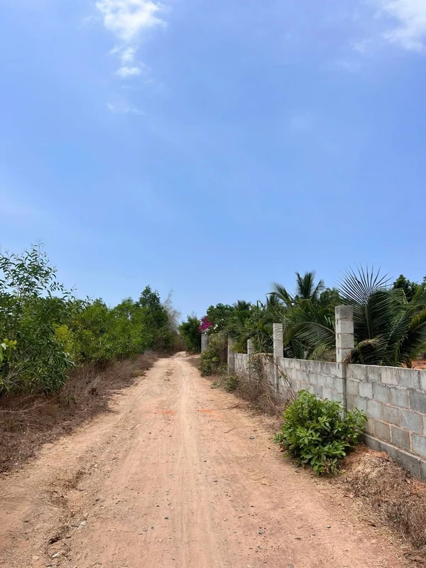 Bán chung cư mặt tiền Nguyễn Lương Bằng 49m² - 3.3 tỷ html