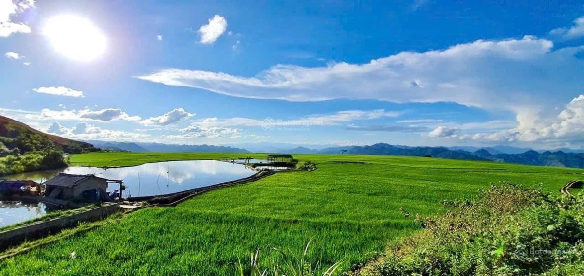 4700m2 mặt đường lớn săn mây và ruộng bậc thang trước mặt. Chính chủ - Ảnh thu nhỏ 4