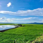4700m2 mặt đường lớn săn mây và ruộng bậc thang trước mặt. Chính chủ - Ảnh thu nhỏ 4