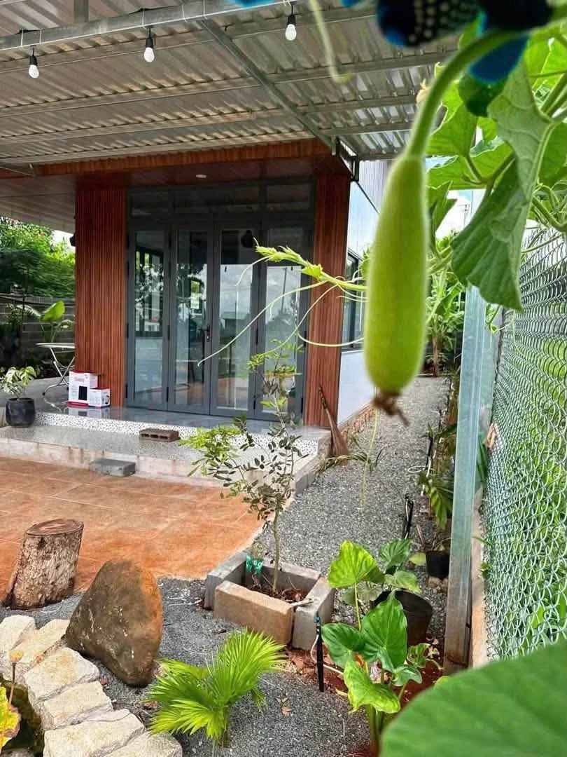 Bán đất nhà vườn 500m² mặt tiền đường nhựa 91C, Long Phước, TP. Bà Rịa, giá 1,79 tỷ - Ảnh thu nhỏ 4