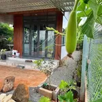 Bán đất nhà vườn 500m² mặt tiền đường nhựa 91C, Long Phước, TP. Bà Rịa, giá 1,79 tỷ - Ảnh thu nhỏ 4