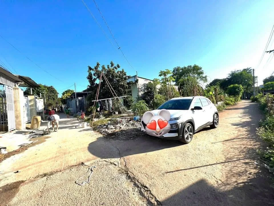 Bán lô góc Tây Hoà 271.3m² Đồng Nai 2 tỷ - Ảnh thu nhỏ 3