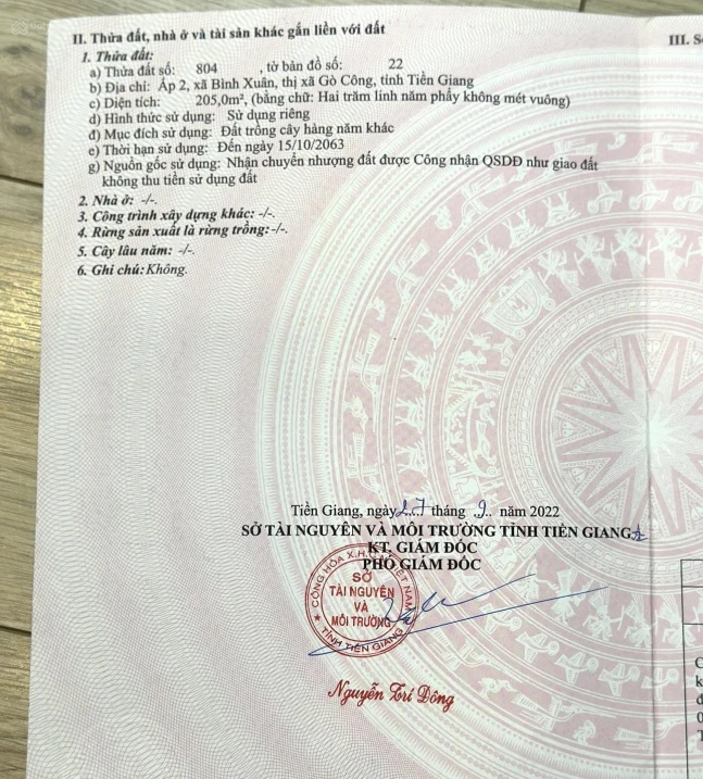 Hạ giá bán lỗ!!! Đất thổ cư xây nhà ngang 5m hoặc căn đôi ngang 10m - Ảnh 1