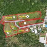 Bán đất 1ha Nguyễn Trãi, Bảo Lộc, giá 6,5 tỷ - Ảnh thu nhỏ 1