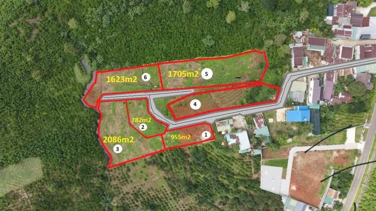 Bán đất 1ha Nguyễn Trãi, Bảo Lộc, giá 6,5 tỷ - Ảnh 1