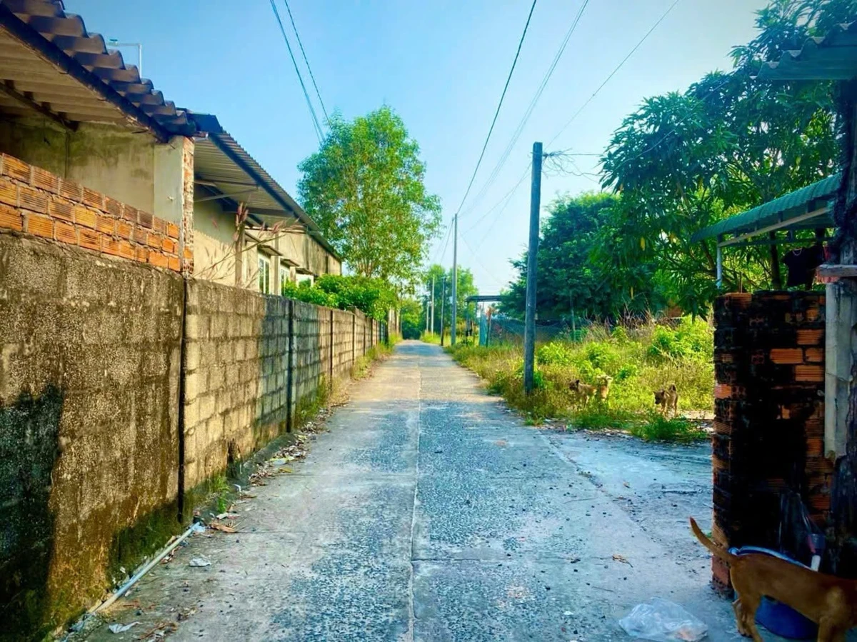 Bán đất 306m² thổ cư 247,6m² gần biển Lagi 1,2 tỷ - Ảnh thu nhỏ 4