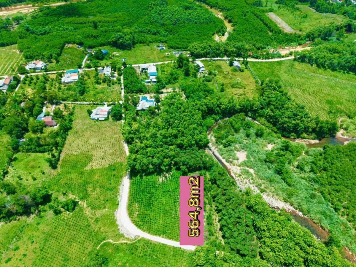Bán đất trồng cây lâu năm 565m2 giáp đường tại Suối A Don, Phong Điền, Huế - Ảnh thu nhỏ 3