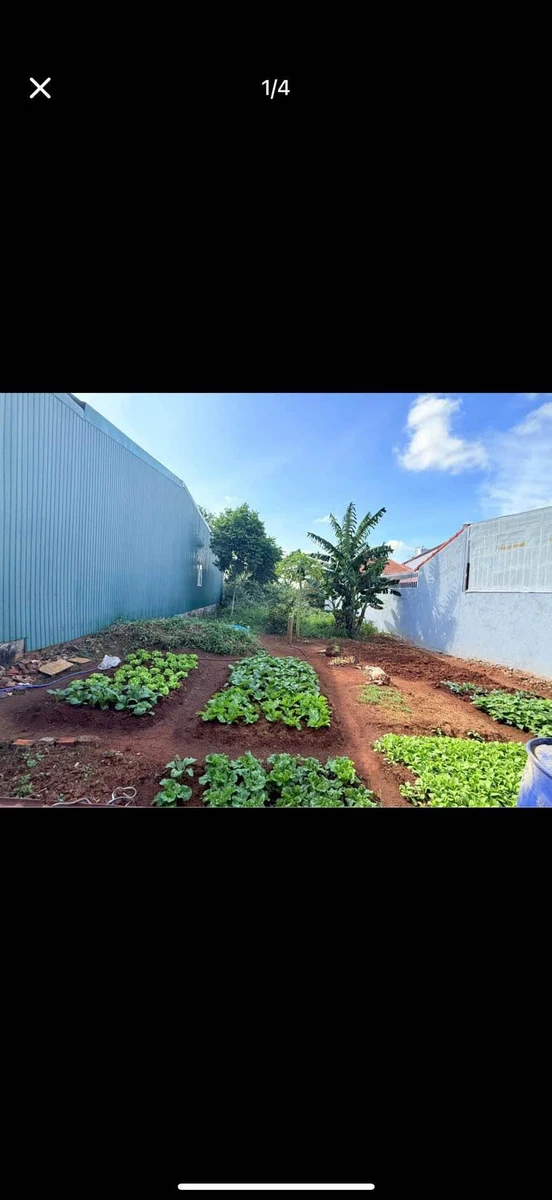 Bán lô đất 226m² hẻm Nguyễn Trường Tộ Q.12 - Ảnh thu nhỏ 2