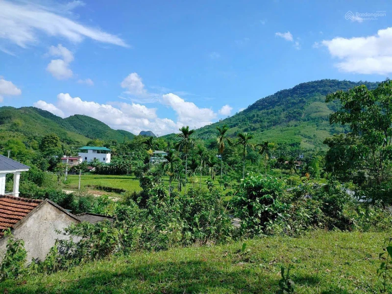 Bán 2 lô tại Kim Sơn, Kim Bôi có lô DT 1700m2 thổ cư. Giá chỉ 3 tỷ hơn