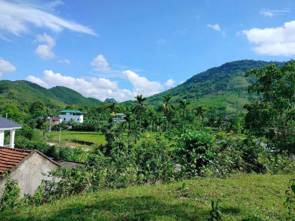 Bán 2 lô tại Kim Sơn, Kim Bôi có lô DT 1700m2 thổ cư. Giá chỉ 3 tỷ hơn - Ảnh 1
