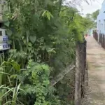 Đất gần biển, view kênh mặt tiền nhựa ĐT871C xã Tân Điền, Gò Công Đông Tiền Giang, 359 m2 giá 1,4tỷ - Ảnh thu nhỏ 6