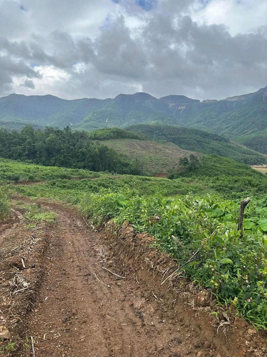 Bán 7.5 hecta đất rừng sản xuất view sông, Đà Nẵng - Ảnh thu nhỏ 4